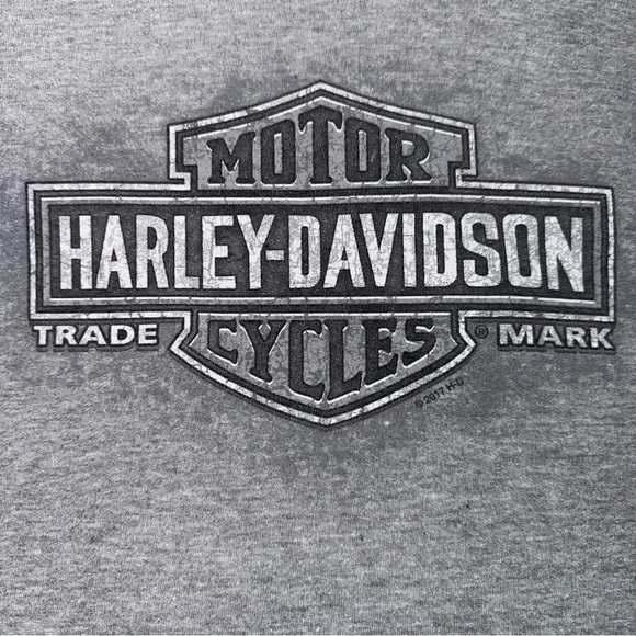 Harley-Davidson Hoodie Men’s Size Large Gray With Pockets St Paul MN Long EUC - Picture 4 of 7
